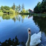 Загребський зоопарк - Загреб - Хорватія