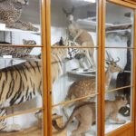 музей природної історії - Загреб - Хорватія