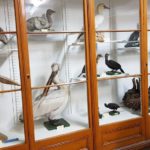 музей природної історії - Загреб - Хорватія