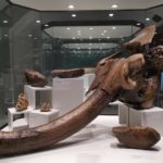 музей природної історії - Загреб - Хорватія